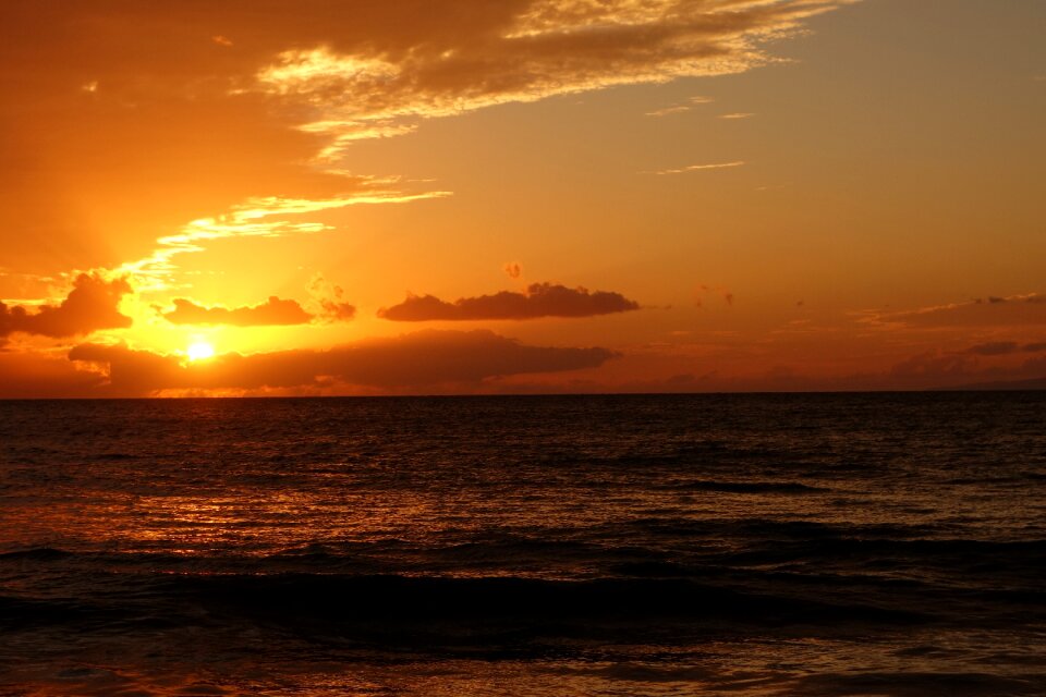 Orange maui