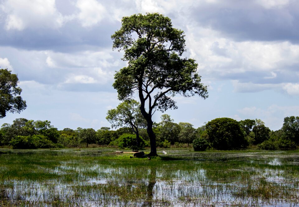 Beauty green landscape