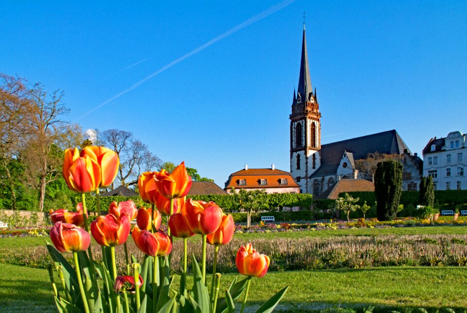 Germany garden spring photo