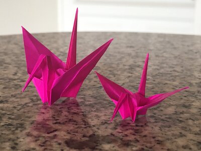Origami bogota colombia photo