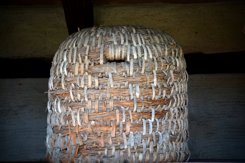 Bee keeping bee-keeping beekeeper