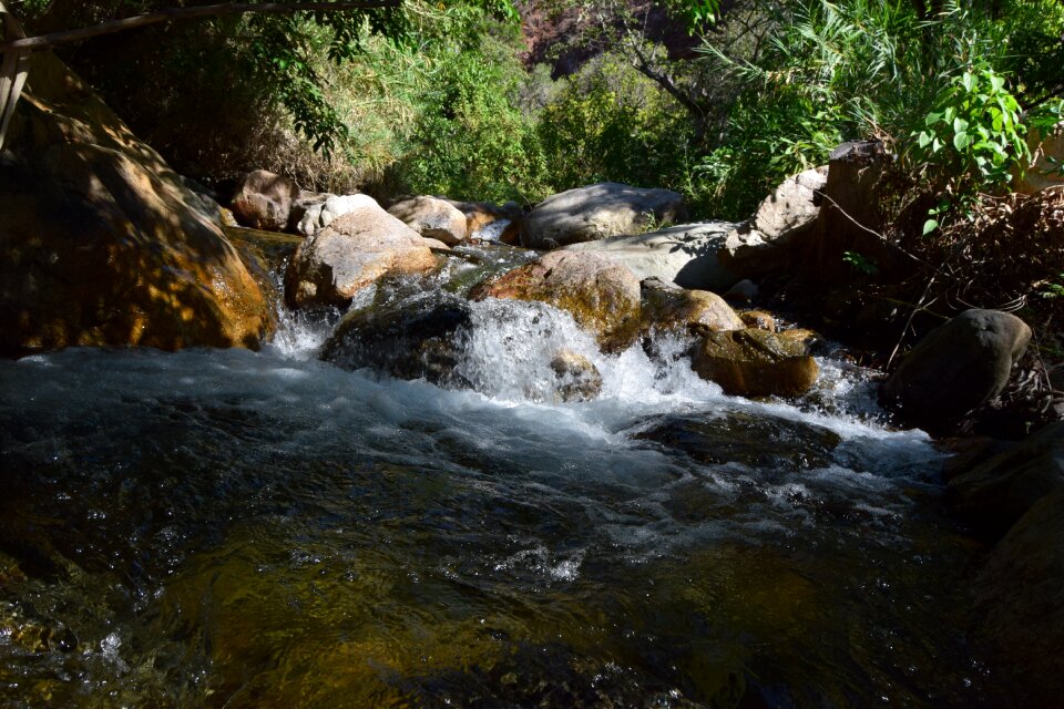 River brook creek