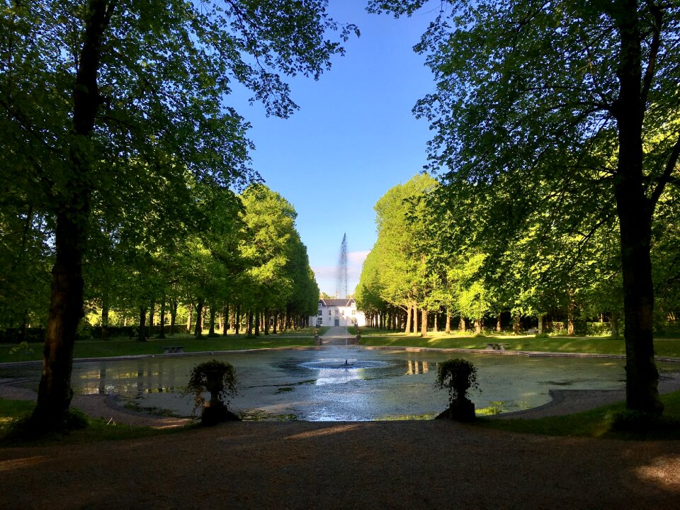 Trees fountain landscape design