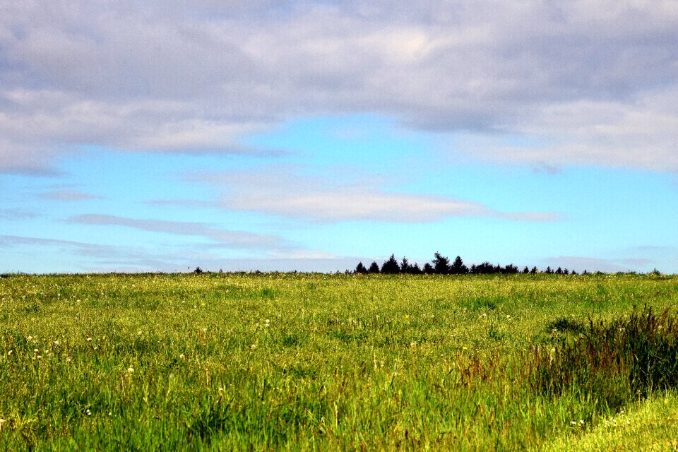 Nature green landscape