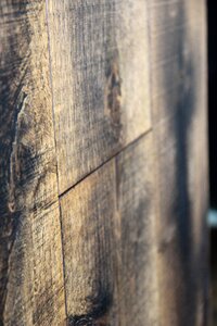 Plank timber texture photo