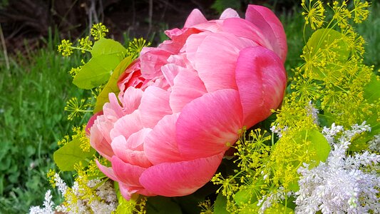 Peony decorative flower bouquet
