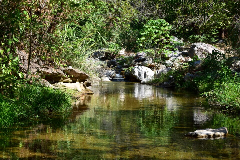 River brook creek
