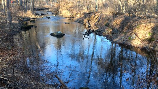 Rockefeller spring