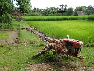 Asia thailand field