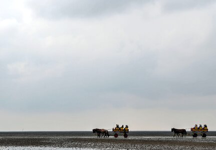 Sea cuxhaven horse and carriage photo