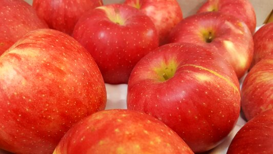 Red apple fruit