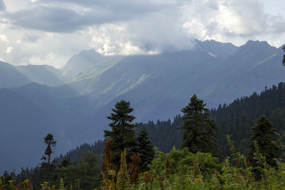 Landscape mountain grass