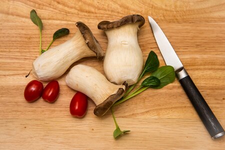 Delicacy mushrooms forest plant photo