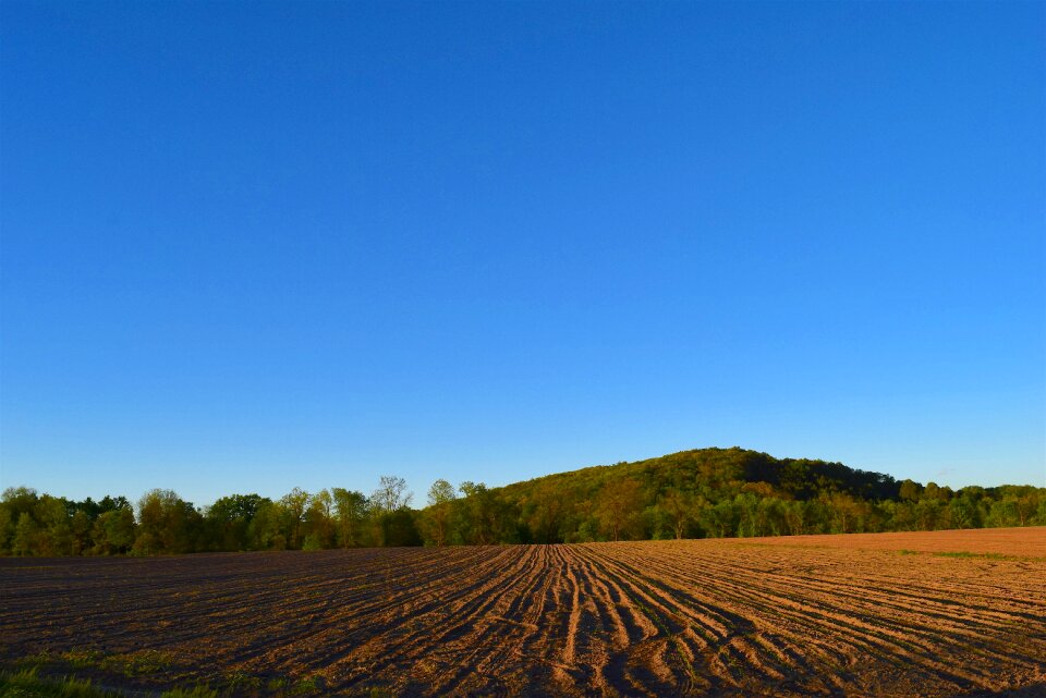 Field nature rural