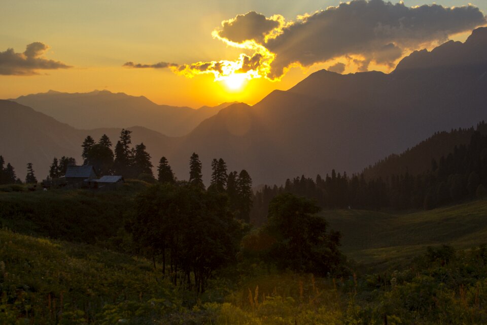Landscape mountain grass