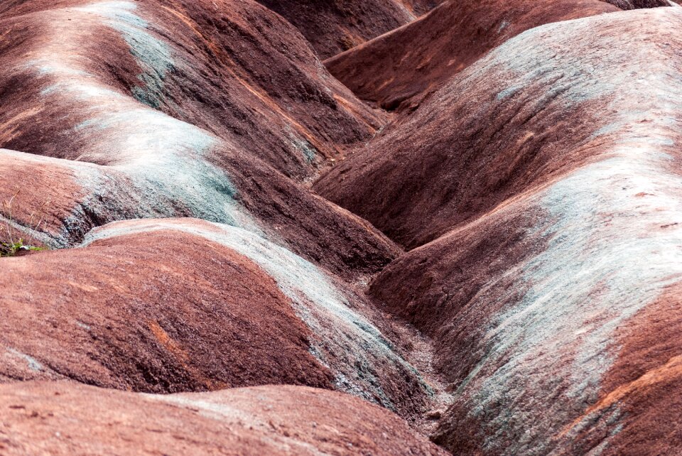 Barren brown canada
