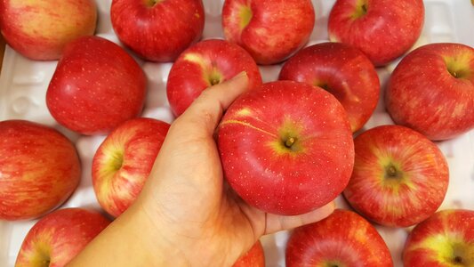 Apple red Free photos