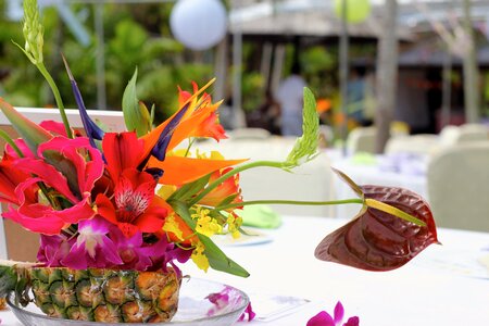 Flowers tropical pineapple