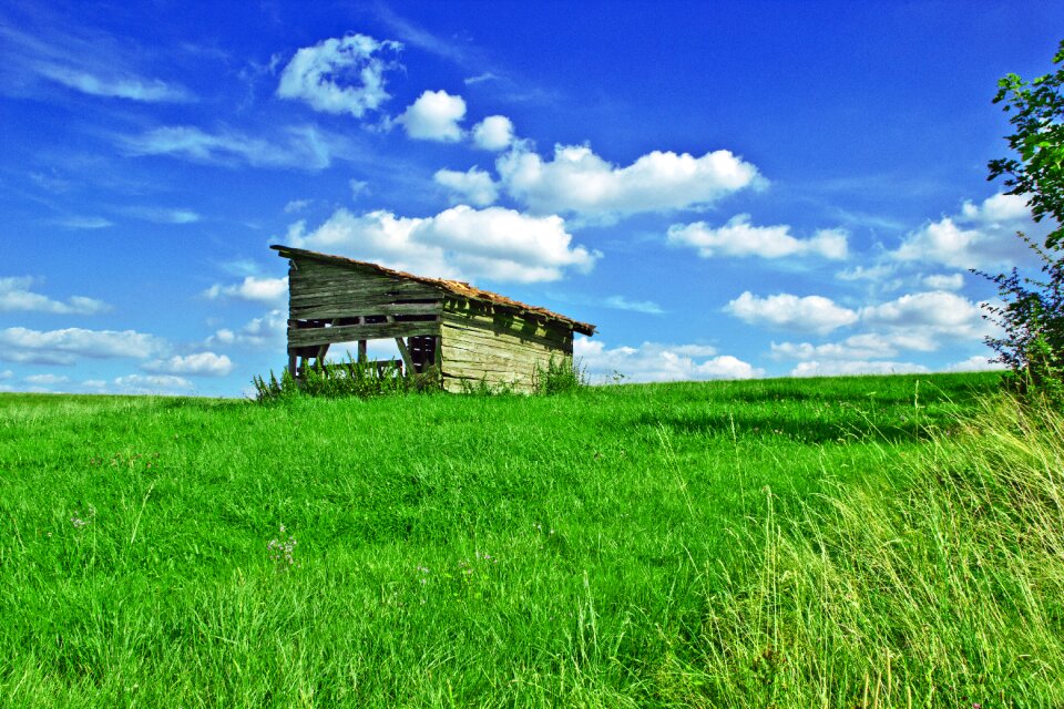 Meadow nature landscape