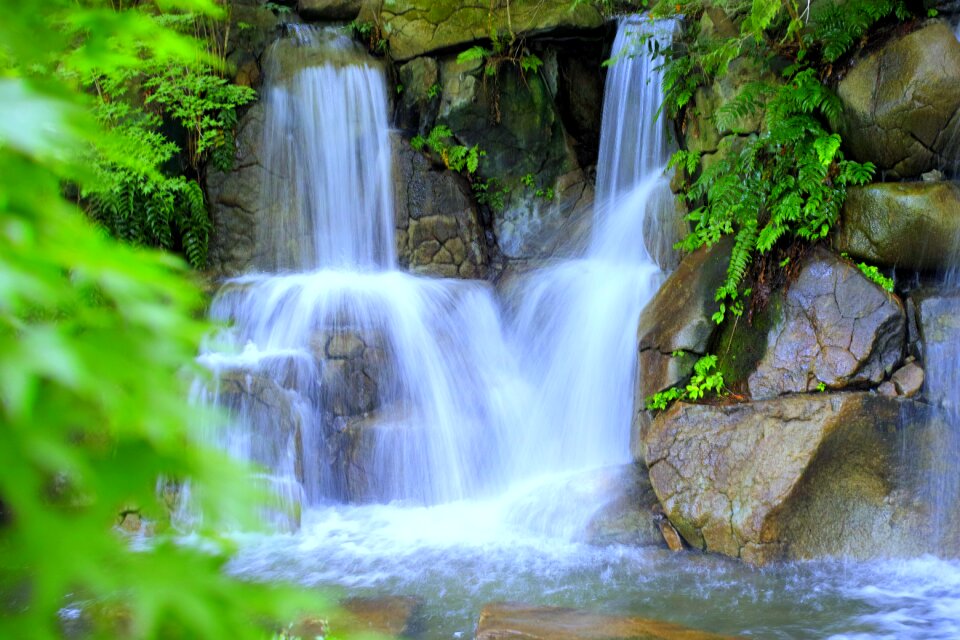 Natural river landscape