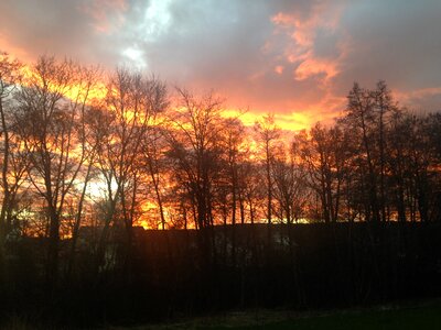 Sunset gothenburg himmel