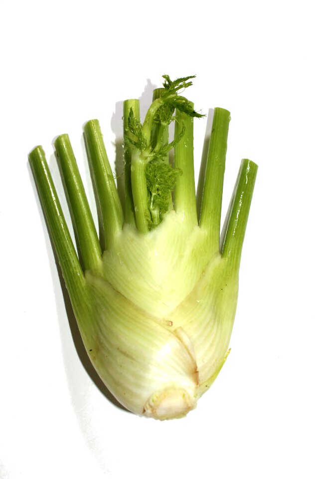 Healthy plant food