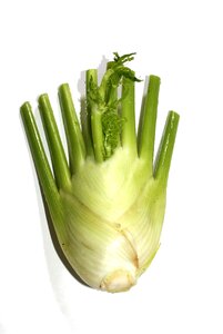Healthy plant food