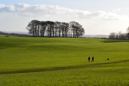 Landscape field nature photo