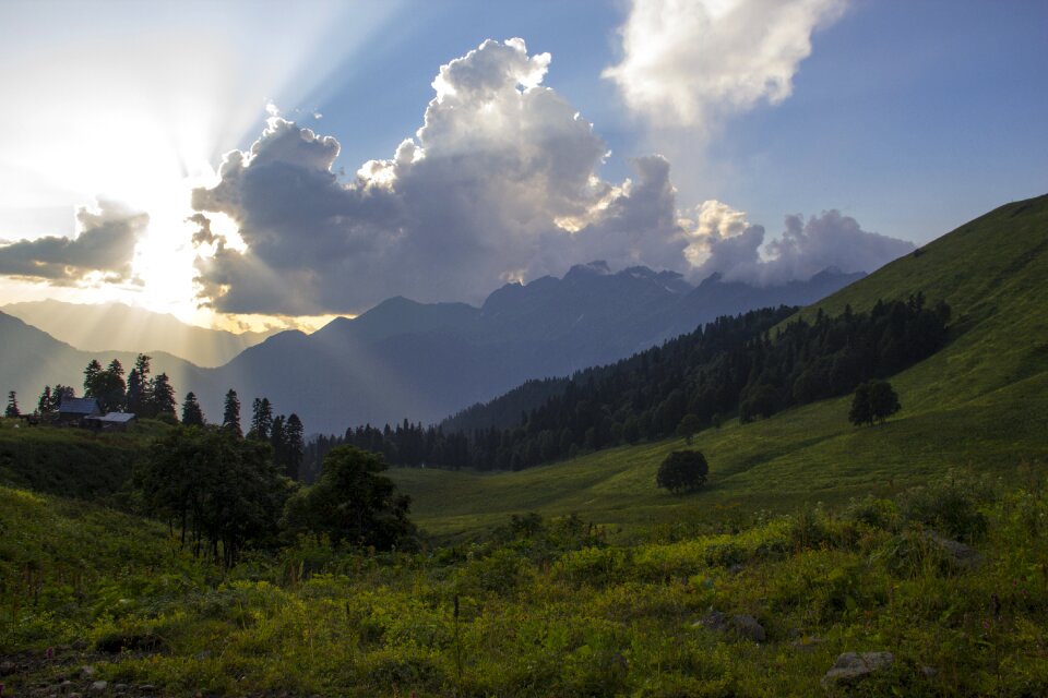 Landscape mountain grass
