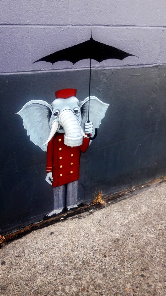 Street art unexpected