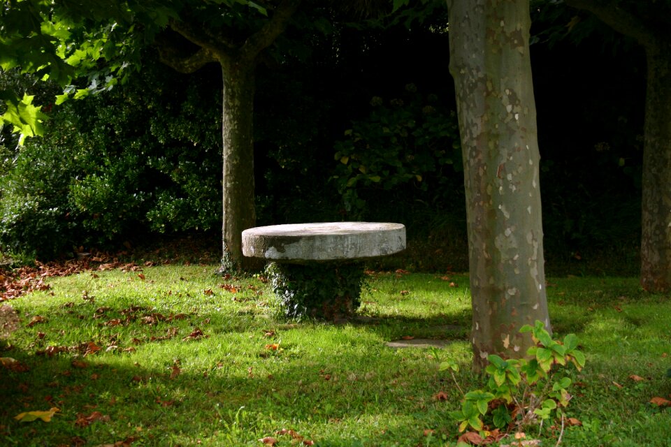 Green spring lawn