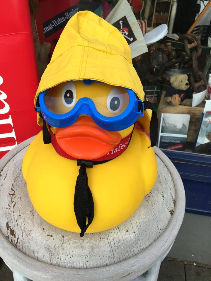 Rubber duck hamburg yellow