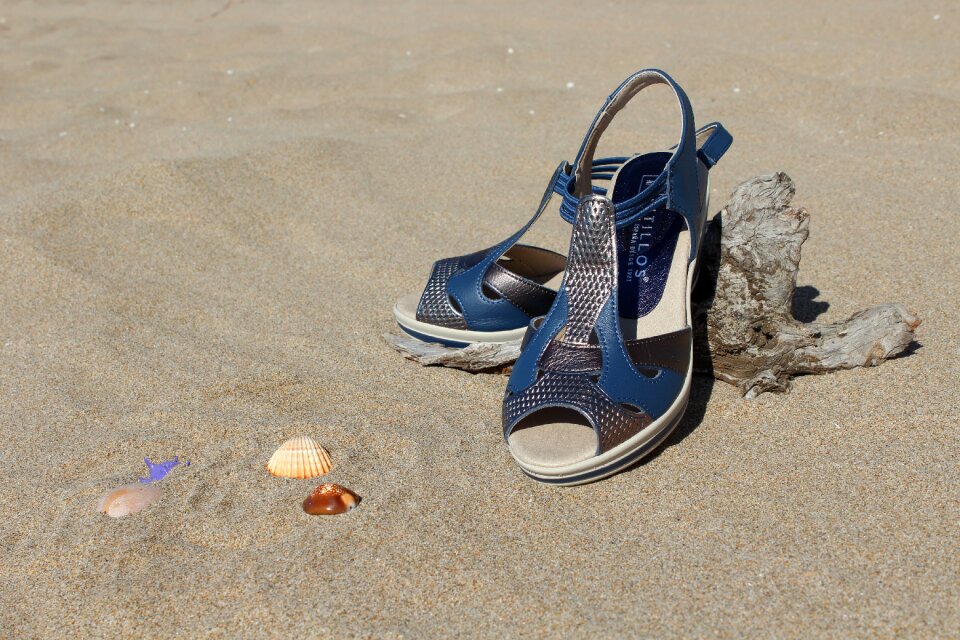 Shoes and shells brown shoes