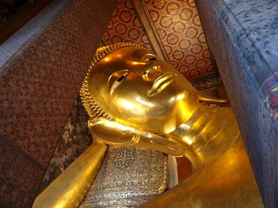 Temple hornets buddha