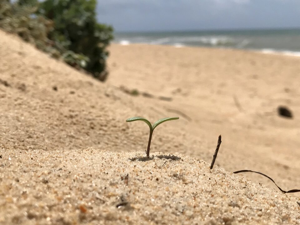 Sea sand rung