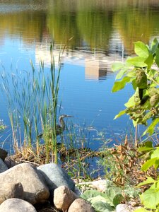 Nature walk water
