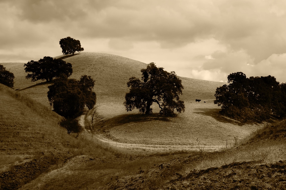 Hills landscape wilderness