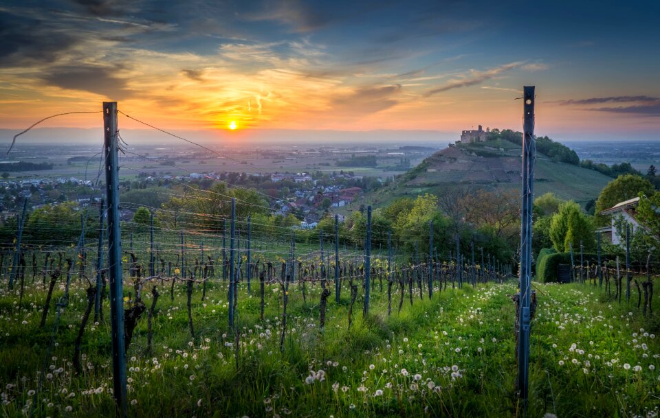 Baden württemberg südbaden freiburg