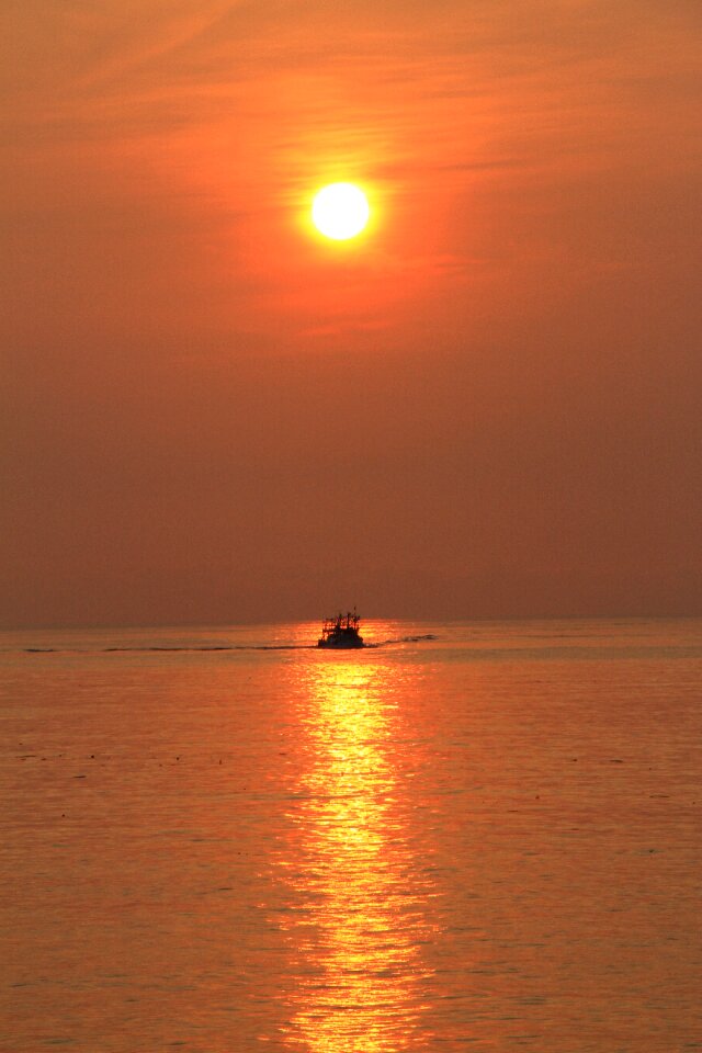 Orange the sea the golden light