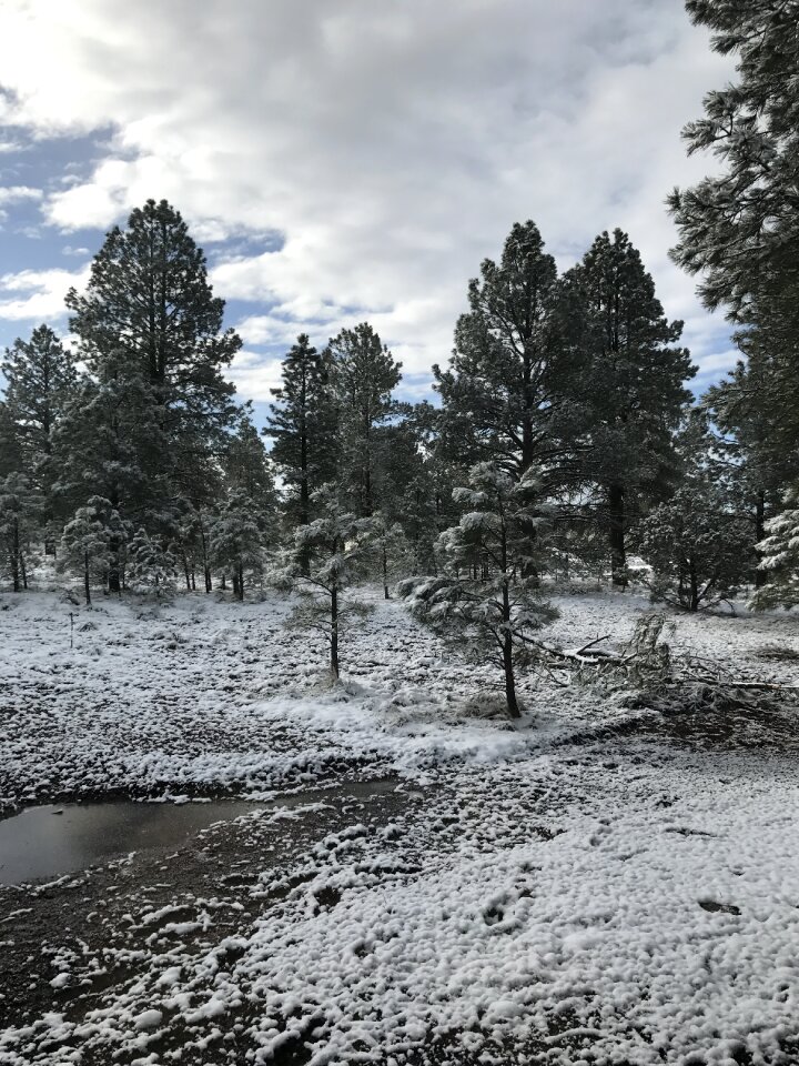 Winter southwest scenic