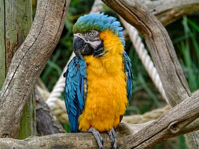 Colorful nature