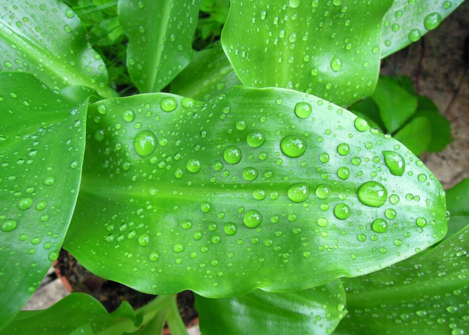 Just add water drop raindrop