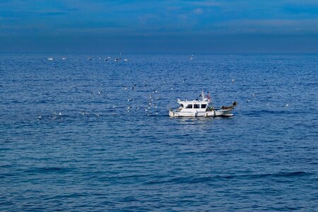 Fisherman sea seagulls photo