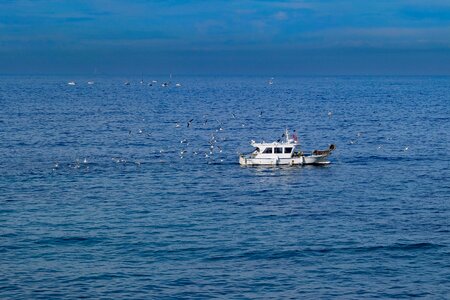 Fisherman sea seagulls