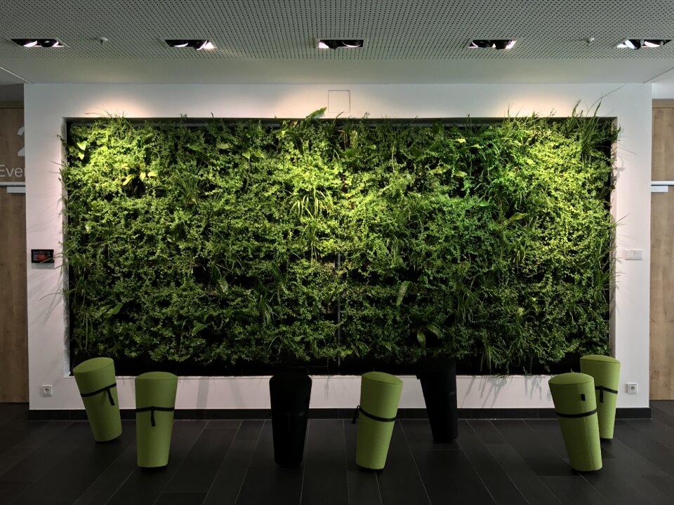 Business green career