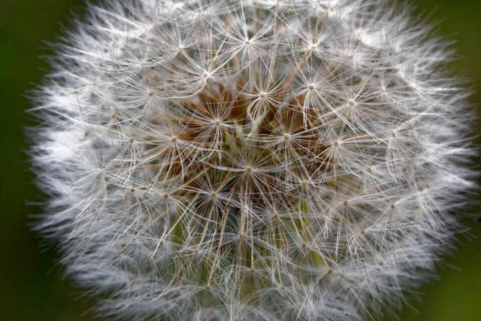 Spring screen pilot composites