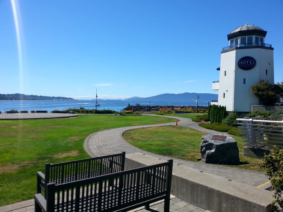 Bellwether bellingham