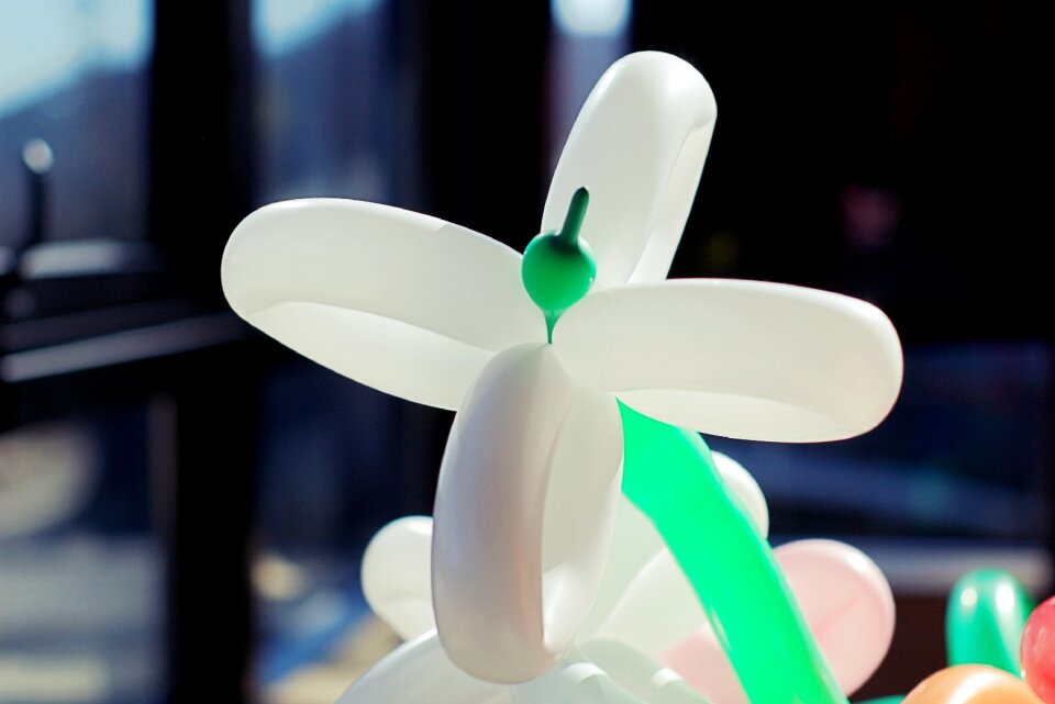 Balloon birthday flowers