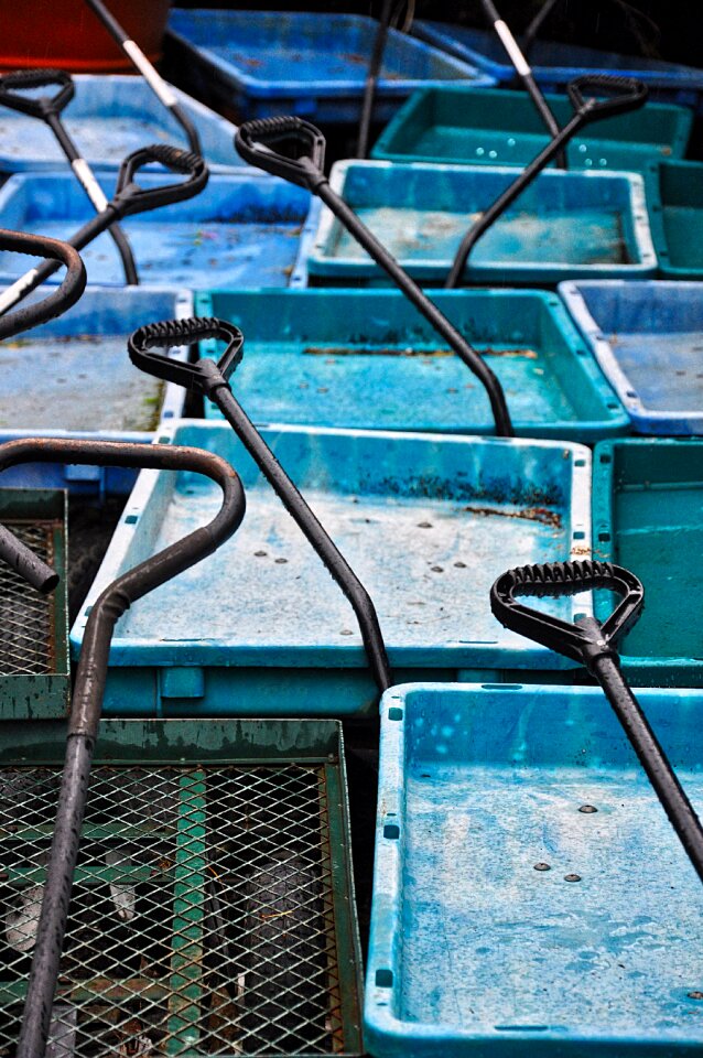 Rustic transport yard