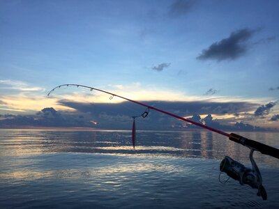 Sea fishing fish fishing photo